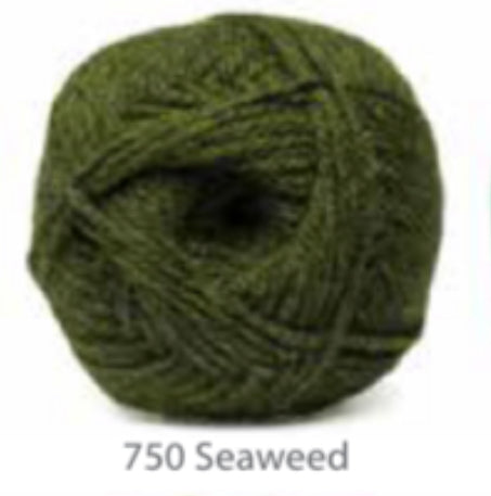 Elle Charity Double Knit 100g