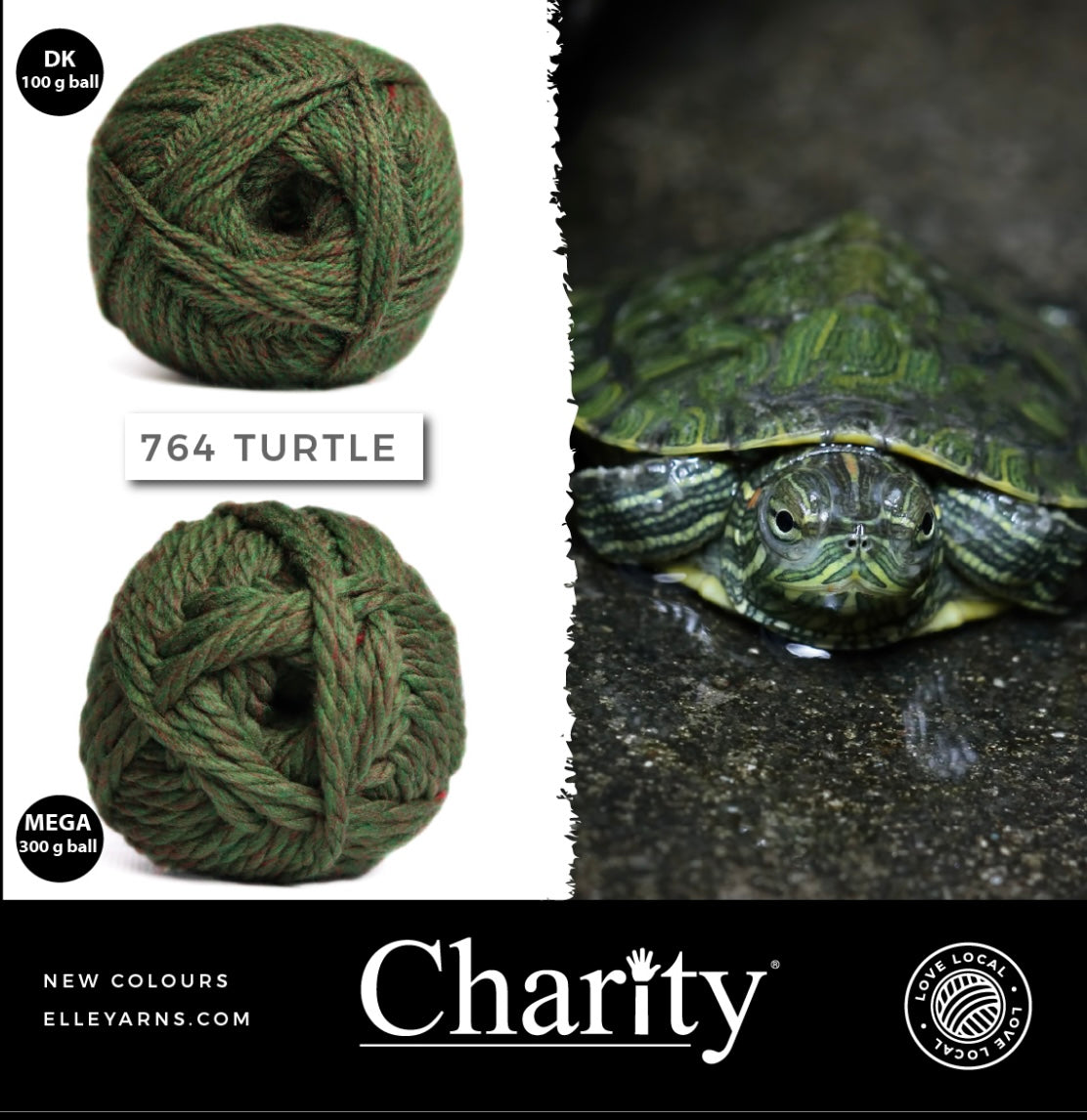 Elle Charity Double Knit 100g New Colours