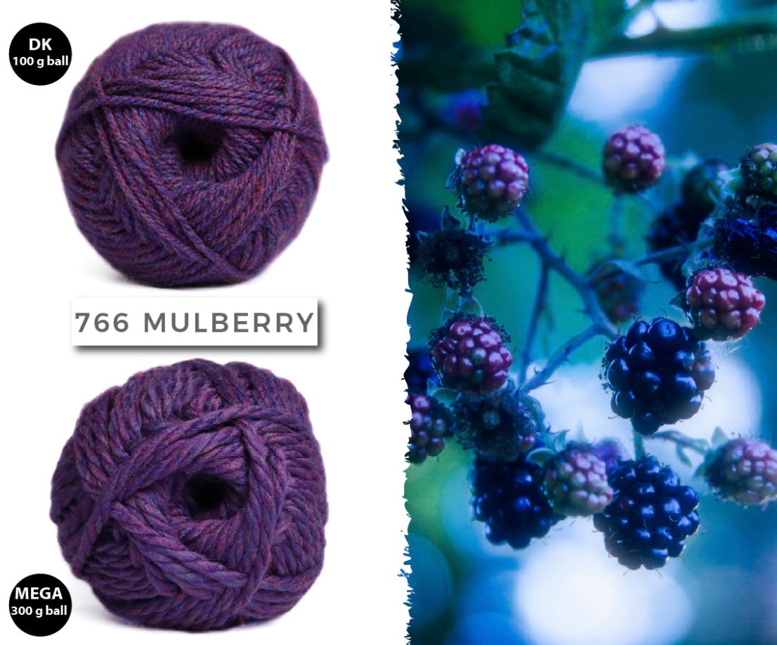 Elle Charity Double Knit 100g New Colours