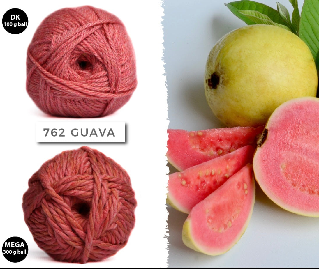 Elle Charity Double Knit 100g New Colours