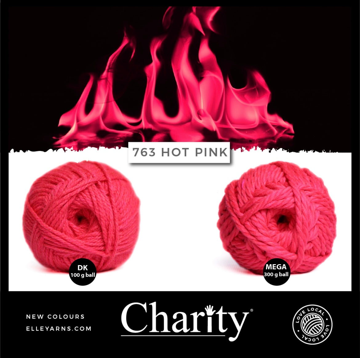 Elle Charity Double Knit 100g New Colours