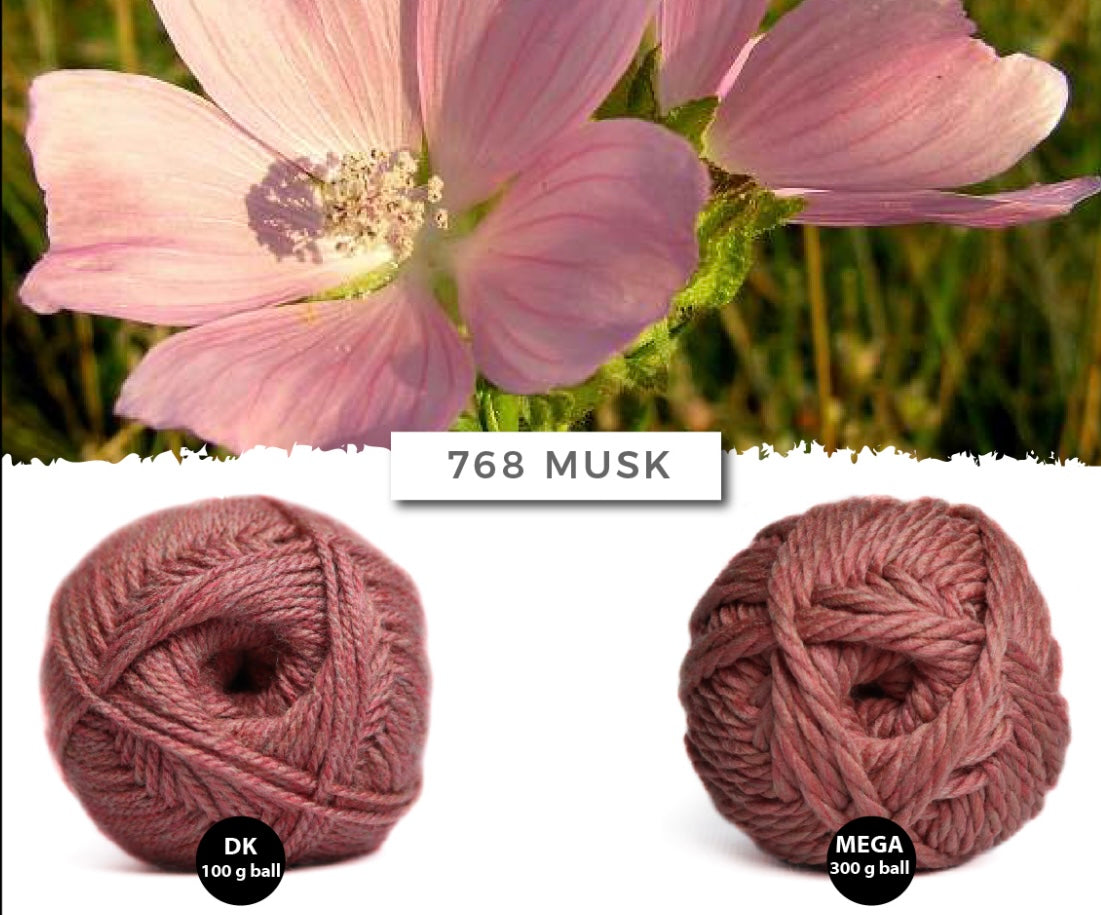 Elle Charity Double Knit 100g New Colours