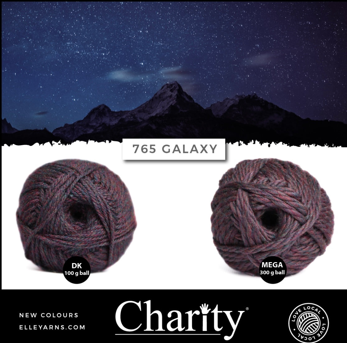Elle Charity Double Knit 100g New Colours